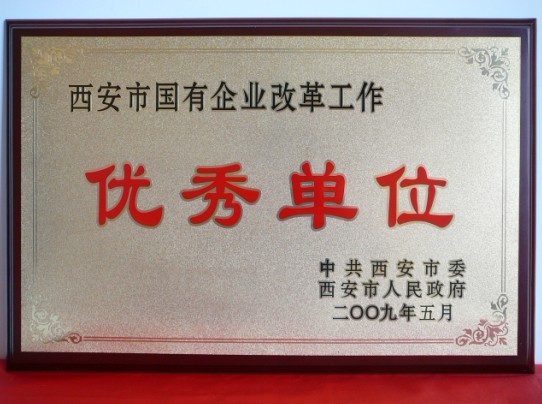 2009年5月，被西安市委、市当驹炖为西安市国企业鼎新工作优良单元