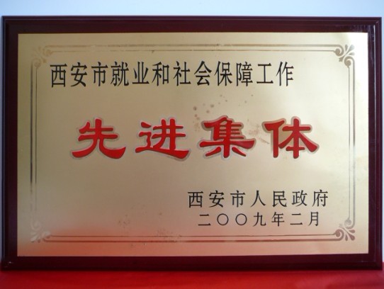 2009年2月，被西安市当驹炖为西安市就业和社会保险工作先进集体