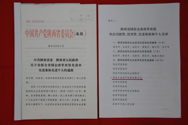 2009年2月，被陕西省委、省敌灾授予陕西省国有企业鼎新攻坚先进集体